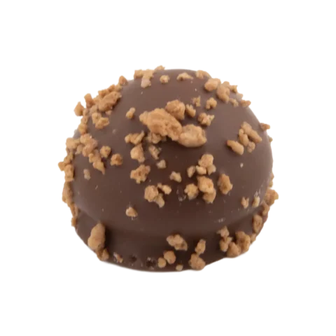 BELGIO MILK CHOCOLATE SPECULOOS